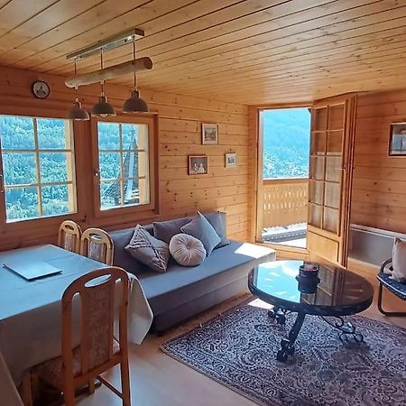 Chalet 3 Pieces De Caractere Mayoux المظهر الخارجي الصورة