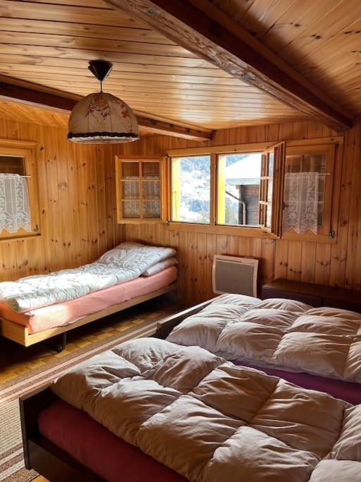 Chalet 3 Pieces De Caractere Mayoux المظهر الخارجي الصورة