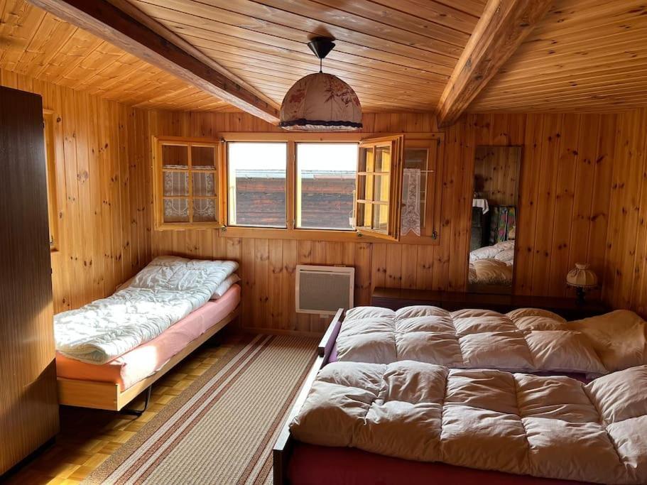 Chalet 3 Pieces De Caractere Mayoux المظهر الخارجي الصورة